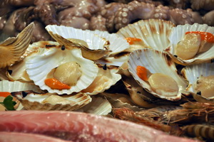 Shellfish from the Rias Bajas